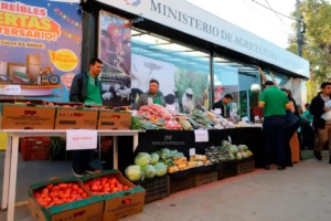 agricultura-familiar-genero-ingresos-de-mas-de-670-millones-de-guaranies