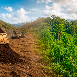 arrojaron-30-camiones-de-pulpa-de-cafe-sobre-un-terreno-degradado-de-centroamerica:-cientificos-volvieron-2-anos-despues-y-hallaron-un-cambio-sorprendente