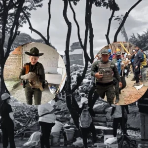 heroes-con-uniforme-rescatan-la-esperanza-entre-las-ruinas:-perrita-wendy-sobrevivio-atrapada-96-horas-y-un-gato-se-refugio-en-casa-a-punto-de-colapso