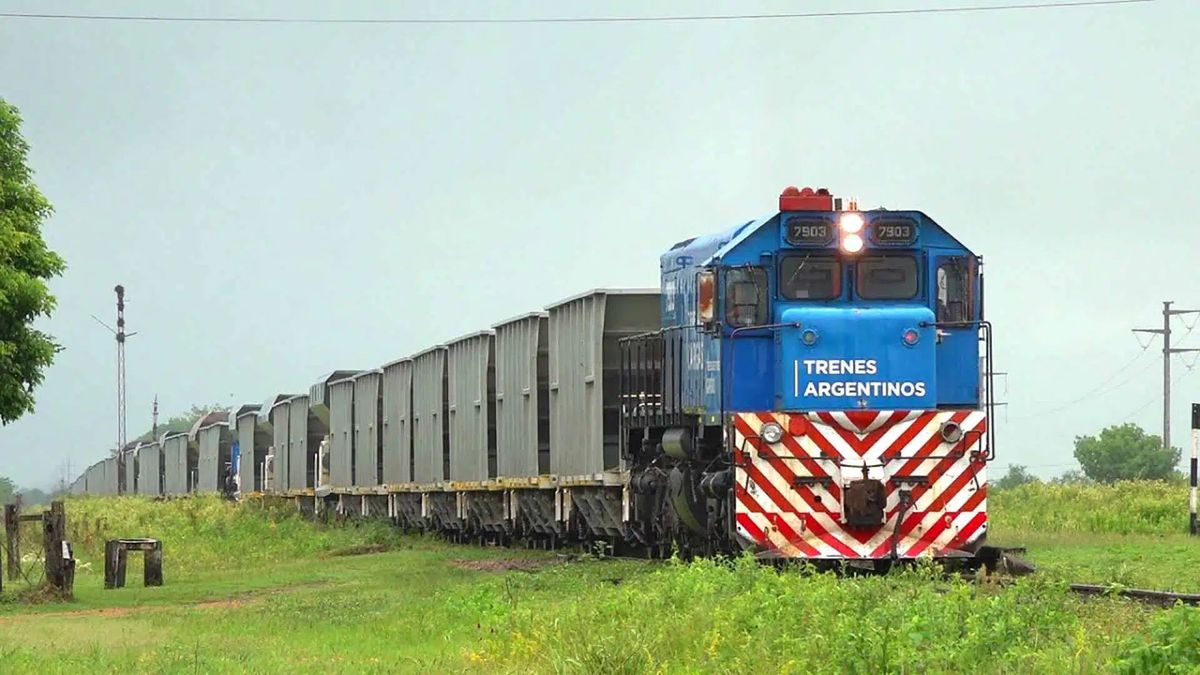 privatizaciones:-el-gobierno-llamo-a-licitacion-para-concesionar-por-50-anos-el-belgrano-cargas