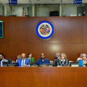 oea-reunira-a-sus-cancilleres-para-actuar-ante-la-suspension-de-elecciones-en-nicaragua