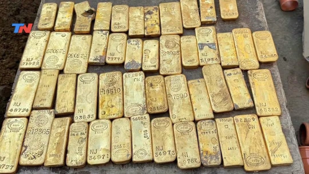 tiene-18-anos-y-encontro-49-lingotes-y-4-mil-monedas-de-oro-en-una-obra