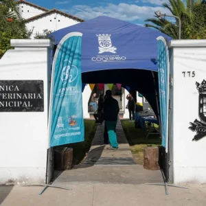con-tres-pabellones-y-atencion-a-bajo-costo:-coquimbo-prepara-nueva-clinica-veterinaria-municipal