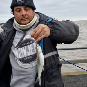 que-pasa-con-el-pejerrey?-panorama-complicado-en-la-costa-platense