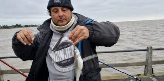 Qué pasa con el pejerrey? Panorama complicado en la costa platense que-pasa-con-el-pejerrey?-panorama-complicado-en-la-costa-platense