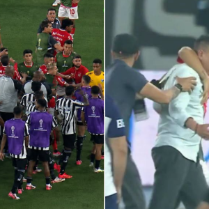 clasificacion-de-cienciano-termino-en-pelea:-jugadores-de-botafogo-fueron-contra-horacio-melgarejo-tras-el-pitazo-final