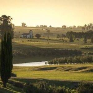 uruguay:-oleoturismo-en-todo-su-territorio-y-quesos-premiados