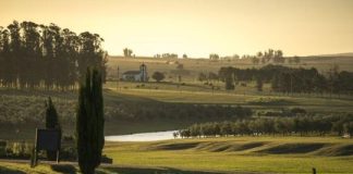Uruguay: oleoturismo en todo su territorio y quesos premiados uruguay:-oleoturismo-en-todo-su-territorio-y-quesos-premiados