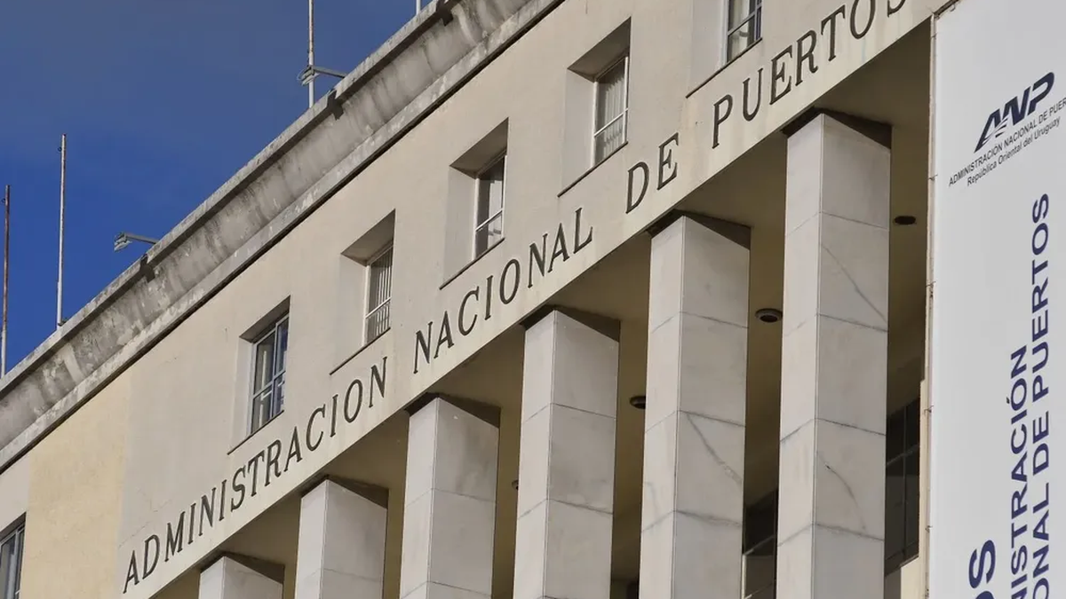 tension-financiera:-numeros-de-la-anp-generan-miradas-opuestas-en-el-directorio