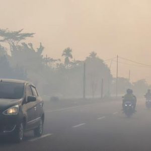 en-indonesie,-200000hectares-ont-brule-depuis-ledebut-de-lannee,-mais-le-pire-reste-a-venir,-alertent-lesautorites
