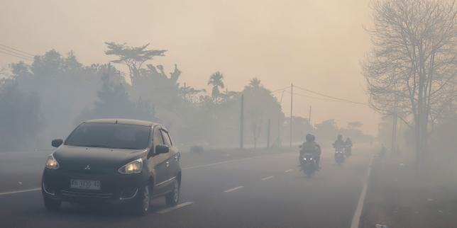 en-indonesie,-200000hectares-ont-brule-depuis-ledebut-de-lannee,-mais-le-pire-reste-a-venir,-alertent-lesautorites