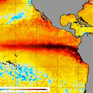 el-nino-podria-alcanzar-un-peak-de-3,5-c-en-2026/2027