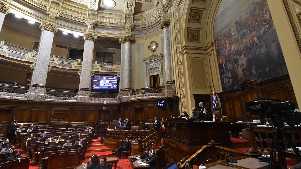diputada-blanca-apunto-a-“mezquindad”-de-legisladores-que-no-votaron-articulos-sobre-discapacidad-en-la-rendicion-de-cuentas