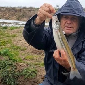 pejerreyes-destacados-y-dientudos-de-buen-tamano-en-el-vertedero-de-la-laguna-de-bragado