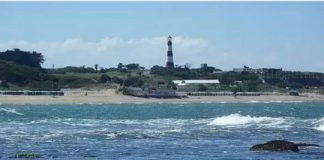 Mirá la misteriosa isla que emergió frente al Faro de Punta Mogotes en Mar del Plata mira-la-misteriosa-isla-que-emergio-frente-al-faro-de-punta-mogotes-en-mar-del-plata