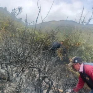 santander-enfrenta-duro-momento-de-racionamiento-de-agua-y-sequia-en-rios-principales:-asi-va-la-afectacion-por-incendios-y-vegetacion