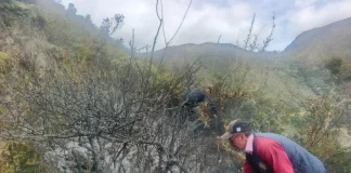 Santander enfrenta duro momento de racionamiento de agua y sequía en ríos principales: así va la afectación por incendios y vegetación santander-enfrenta-duro-momento-de-racionamiento-de-agua-y-sequia-en-rios-principales:-asi-va-la-afectacion-por-incendios-y-vegetacion