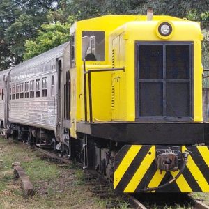 sorocaba-retoma-viagens-de-trem-turistico-60-anos-apos-fim-de-rota-regular