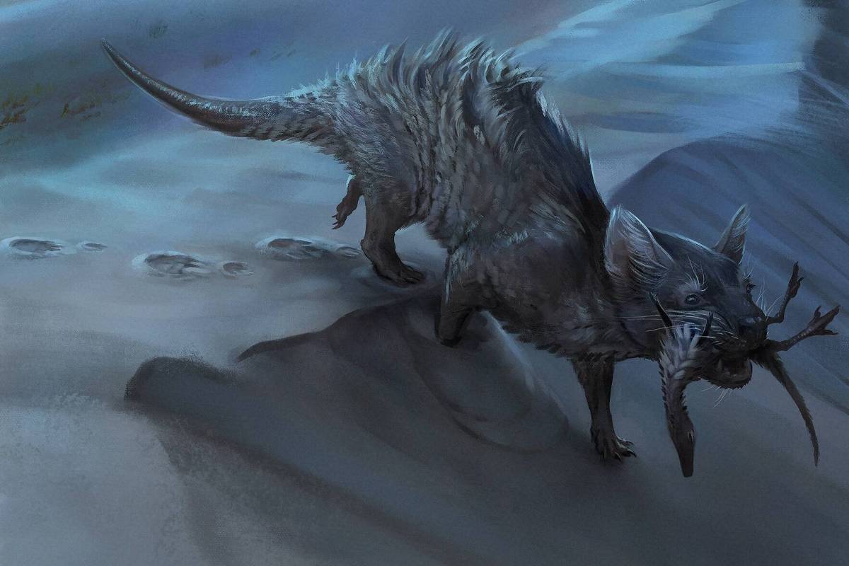 pegada-fossil-de-sc-revela-maior-mamifero-da-era-dos-dinossauros