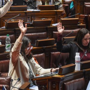 transferencias,-ley-de-medios-y-secreto-bancario:-el-gobierno-logro-aprobar-sus-prioridades-en-la-rendicion-de-cuentas-pero-varias-iniciativas-quedaron-por-el-camino