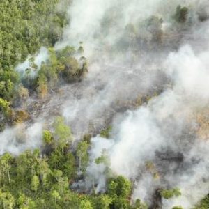 incendies-en-indonesie:-1500soldats-supplementaires-vont-etre-deployes-a-borneo-pour-lutter-contre-les-feux-de-foret