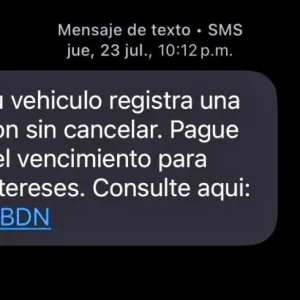 una-de-cada-4-personas-en-chile-cayo-en-estafa-sms-por-cobros