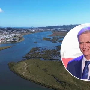 por-que-humedales-son-clave-para-proteger-ciudades-de-inundaciones?