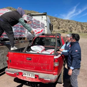indap-entrega-27-mil-kilos-de-alimento-para-ir-en-apoyo-del-rubro-caprino-en-combarbala