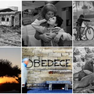lente-libre-reune-seis-miradas-para-retratar-la-identidad-y-memoria-del-territorio