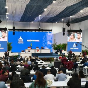 primer-periodo-de-sesiones-de-an-bajo-tutelaje:-foco-en-leyes-economicas-y-recule-con-tsj