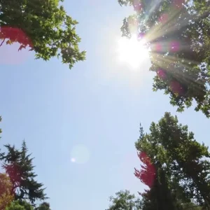 hasta-30c:-pronostican-un-viernes-con-altas-temperaturas-en-la-region