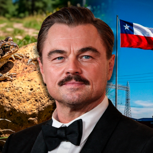 el-proyecto-electrico-entre-chile-y-argentina-que-leonardo-dicaprio-llamo-catastrofico-y-termino-paralizado-por-un-insolito-motivo