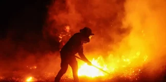 Gobernadora del Tolima denuncia posibles manos criminales detrás de los incendios que han arrasado más de 20.000 hectáreas de vegetación gobernadora-del-tolima-denuncia-posibles-manos-criminales-detras-de-los-incendios-que-han-arrasado-mas-de-20.000-hectareas-de-vegetacion