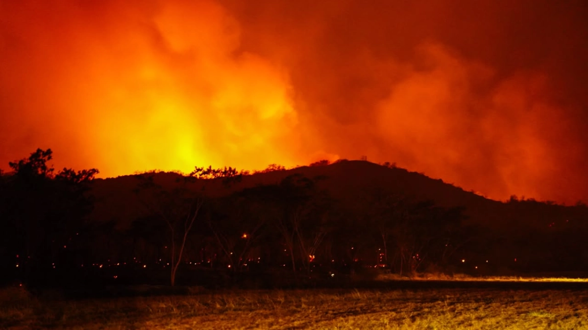 incendios-forestales-en-colombia-hoy-sabado-22-de-agosto:-mas-de-20.000-hectareas-afectadas-y-autoridades-investigan-incendios-provocados-por-personas