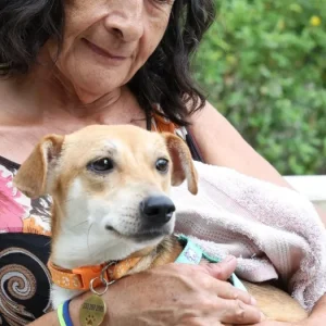 huellas-de-resiliencia:-el-centro-de-bienestar-animal-busca-a-los-duenos-de-70-mascotas-rescatadas-tras-el-terremoto-en-cali