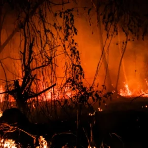 incendios-forestales-en-colombia-hoy-23-de-agosto:-organismos-de-socorro-controlan-conflagracion-en-el-tablazo,-popayan,-y-evitan-danos-a-viviendas