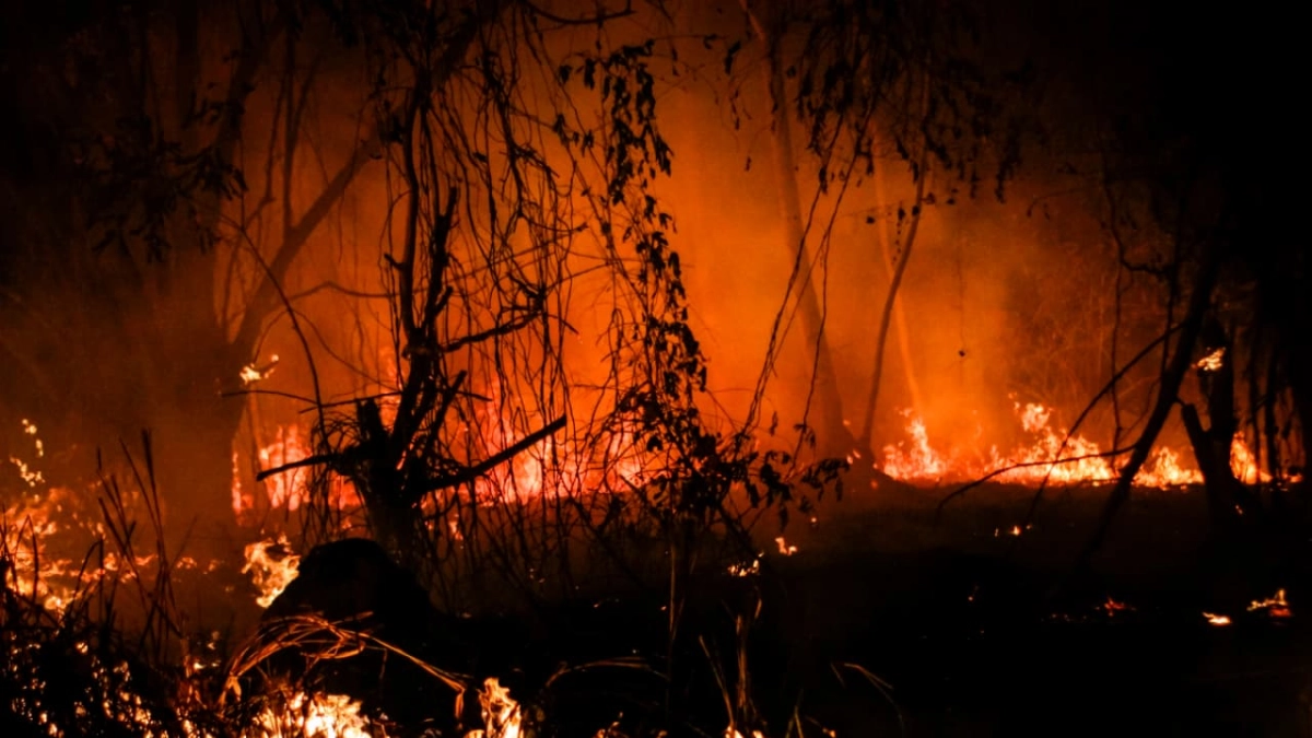 incendios-forestales-en-colombia-hoy-23-de-agosto:-organismos-de-socorro-controlan-conflagracion-en-el-tablazo,-popayan,-y-evitan-danos-a-viviendas
