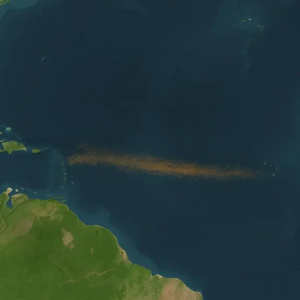 los-cientificos-quedaron-asombrados-al-ver-una-enorme-cinta-marron-que-se-extiende-a-traves-del-atlantico-desde-africa