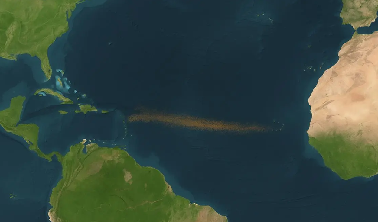 los-cientificos-quedaron-asombrados-al-ver-una-enorme-cinta-marron-que-se-extiende-a-traves-del-atlantico-desde-africa