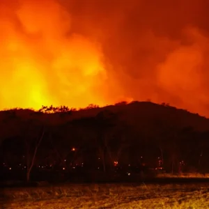 incendios-forestales-en-colombia-hoy-22-de-agosto:-reportan-14-conflagraciones-activas;-anuncian-recompensa-de-hasta-$100-millones-por-responsables