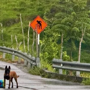 fin-al-bloqueo-en-el-norte-de-antioquia:-ejercito-neutraliza-cilindro-con-explosivo-en-la-via-medellinituango