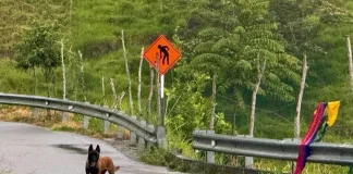 Fin al bloqueo en el norte de Antioquia: Ejército neutraliza cilindro con explosivo en la vía MedellínItuango fin-al-bloqueo-en-el-norte-de-antioquia:-ejercito-neutraliza-cilindro-con-explosivo-en-la-via-medellinituango