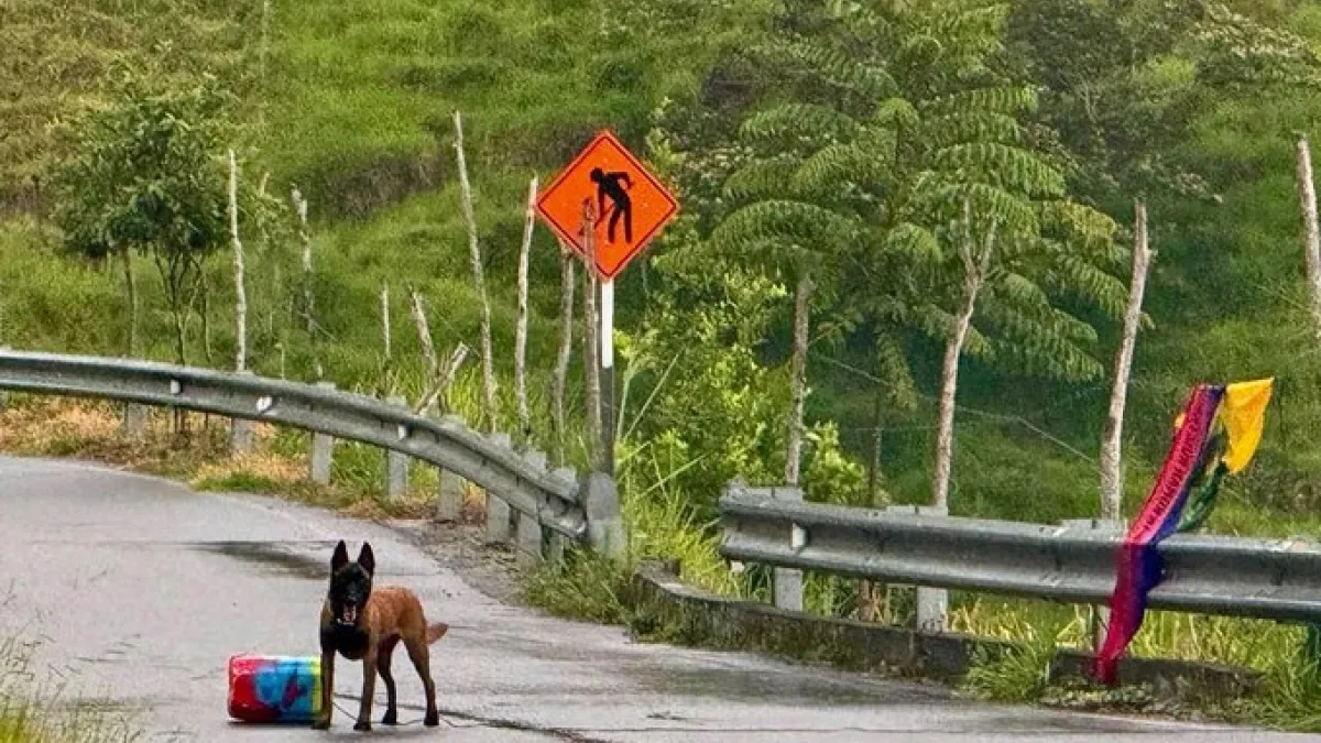 fin-al-bloqueo-en-el-norte-de-antioquia:-ejercito-neutraliza-cilindro-con-explosivo-en-la-via-medellinituango