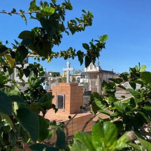confira-os-falecimentos-deste-domingo-(23)-em-apucarana-e-regiao