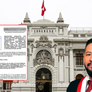 cesar-holguin,-diputado-de-ahora-nacion,-presento-un-proyecto-de-ley-para-derogar-la-ley-chlimper-2.0