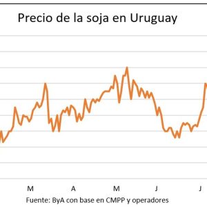 precios-de-soja-y-maiz-en-una-segunda-semana-consecutiva-de-fuertes-subas