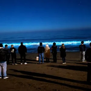 bioluminiscencia-abre-una-nueva-oportunidad-para-reactivar-el-turismo-en-la-region