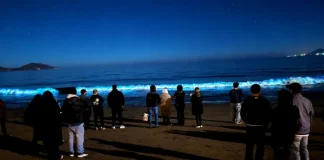 Bioluminiscencia abre una nueva oportunidad para reactivar el turismo en la región bioluminiscencia-abre-una-nueva-oportunidad-para-reactivar-el-turismo-en-la-region