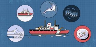 Quatre semaines à bord dun brise-glace en vidéo: comment détranges organismes marins participent à la régulation du climat dans locéan Arctique quatre-semaines-a-bord-dun-brise-glace-en-video:-comment-detranges-organismes-marins-participent-a-la-regulation-du-climat-dans-locean-arctique