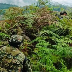 violencia-en-zonas-rurales-del-cauca-deja-a-comunidades-en-maxima-alerta-por-combates-y-explosiones